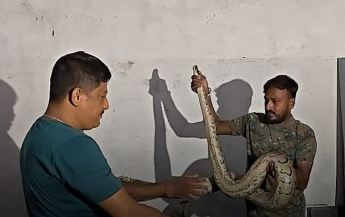 কারখানা থেকে উদ্ধার ১০ ফুট লম্বা অজগর , আতঙ্কিত এলাকাবাসী