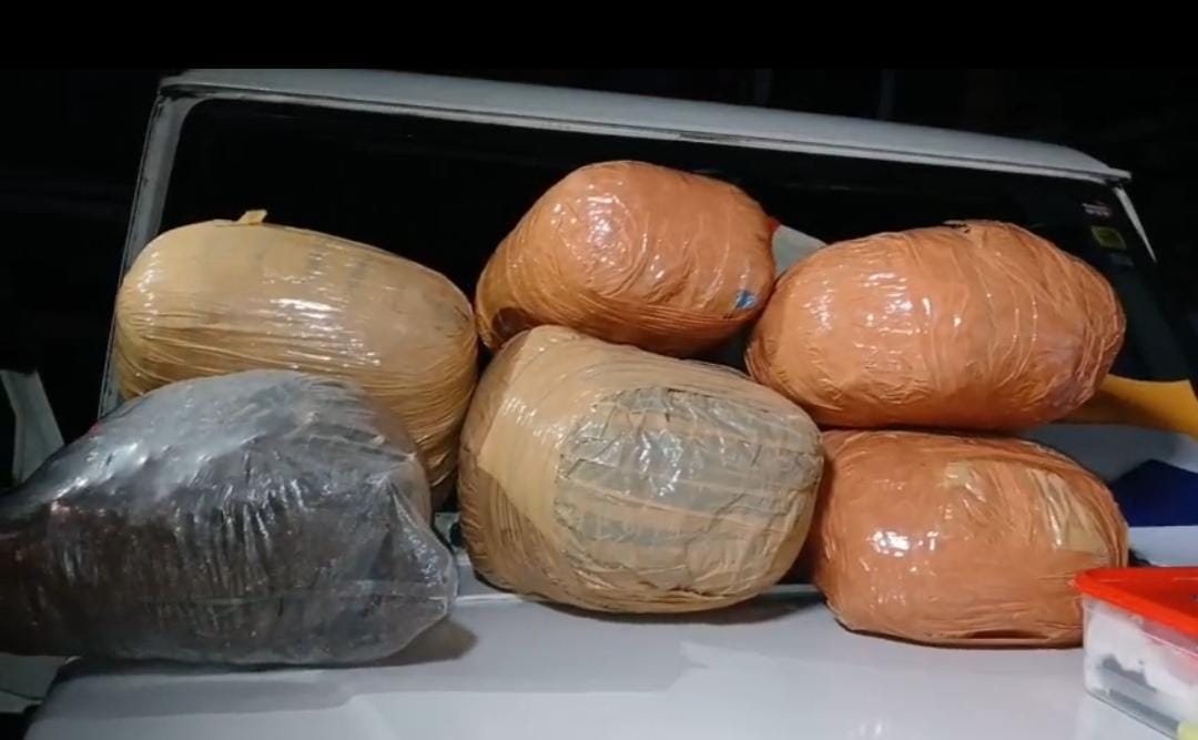 উত্তরবঙ্গে গাঁজা পাচারের পর্দাফাঁস , আটক চাকদার যুবক