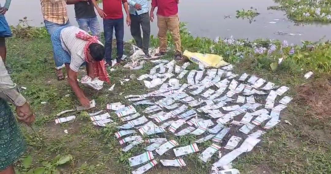 বিল থেকে উদ্ধার বান্ডিল বান্ডিল আধার কার্ড , SIR শুরুর পরের দিনই তুমুল চাঞ্চল্য