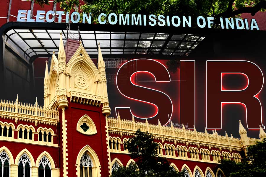 কি ভিত্তিতে বাংলায় SIR হচ্ছে?, নির্বাচন কমিশনের কাছে হলফনামা তলব হাইকোর্টের