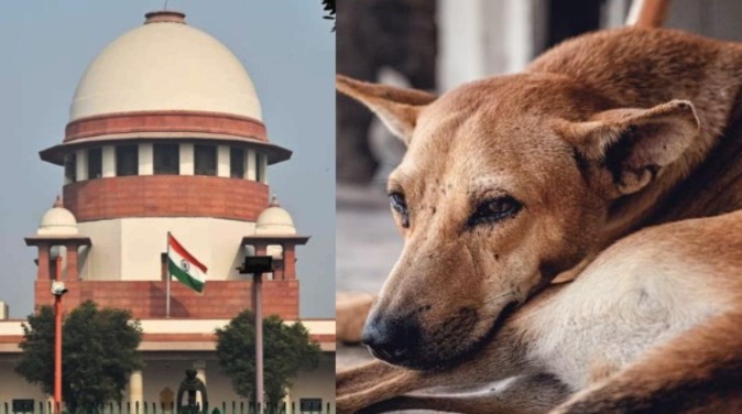 শিক্ষা প্রতিষ্ঠান-হাসপাতাল চত্বর পথকুকুরমুক্ত করার ‘সুপ্রিম’ নির্দেশ