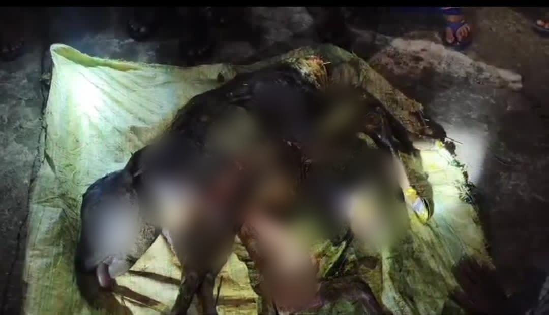 জন্ম নিল বিরল প্রজাতির বাছুর , অলৌকিক নাকি বিজ্ঞান? প্রশ্ন এলাকাবাসীর