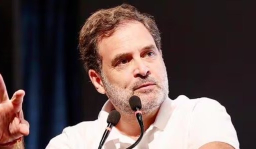 ভোটমুখী বিহারে ছেড়ে মধ্যপ্রদেশে জঙ্গল সাফারিতে মজে রাহুল গান্ধী! তোপ গেরুয়া শিবিরের