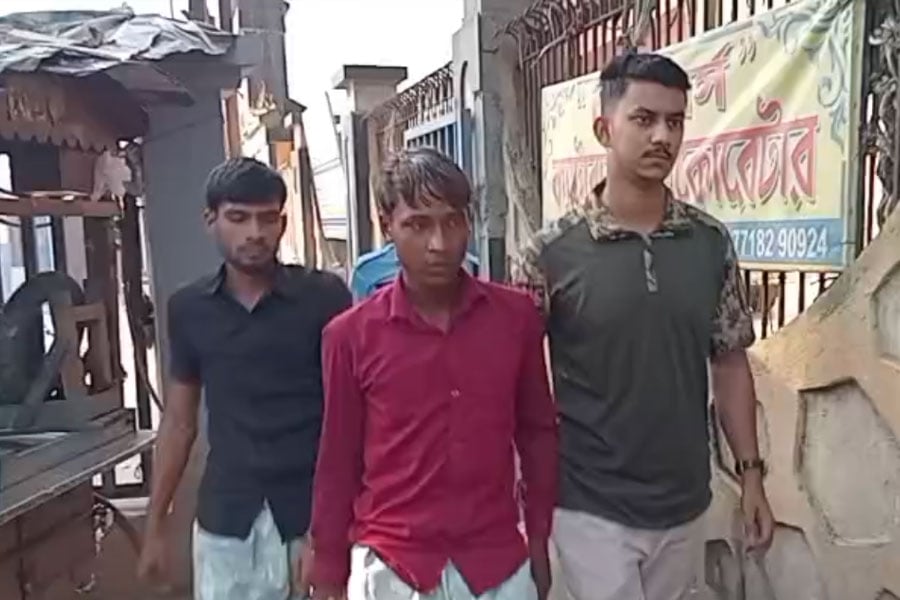 SIR আবহে বাংলদেশে পালানোর ছক , মালদহ সীমান্তে গ্রেফতার ২ অনুপ্রবেশকারী