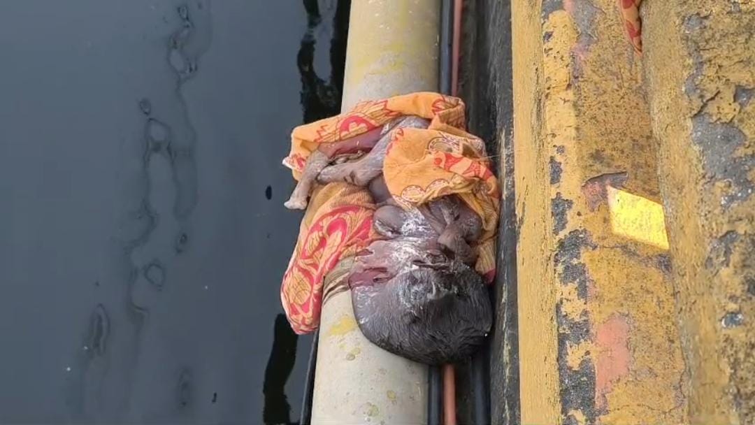 শহরের রাস্তায় সদ্যজাত শিশুর মৃতদেহ , অভিযুক্ত তরুণীর খোঁজে তল্লাশি পুলিশের