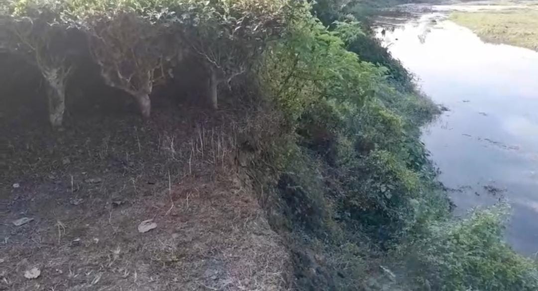 বালি মাফিয়াদের দৌরাত্ম্যে চরম বিপদের মুখে চা বাগানগুলি , নদী গর্ভে প্রায় ১০০ বিঘা জমি