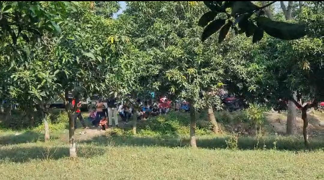 চাষের জমি থেকে উদ্ধার ব্যাগভর্তি বোমা , তুমুল চাঞ্চল্য সামসেরগঞ্জে