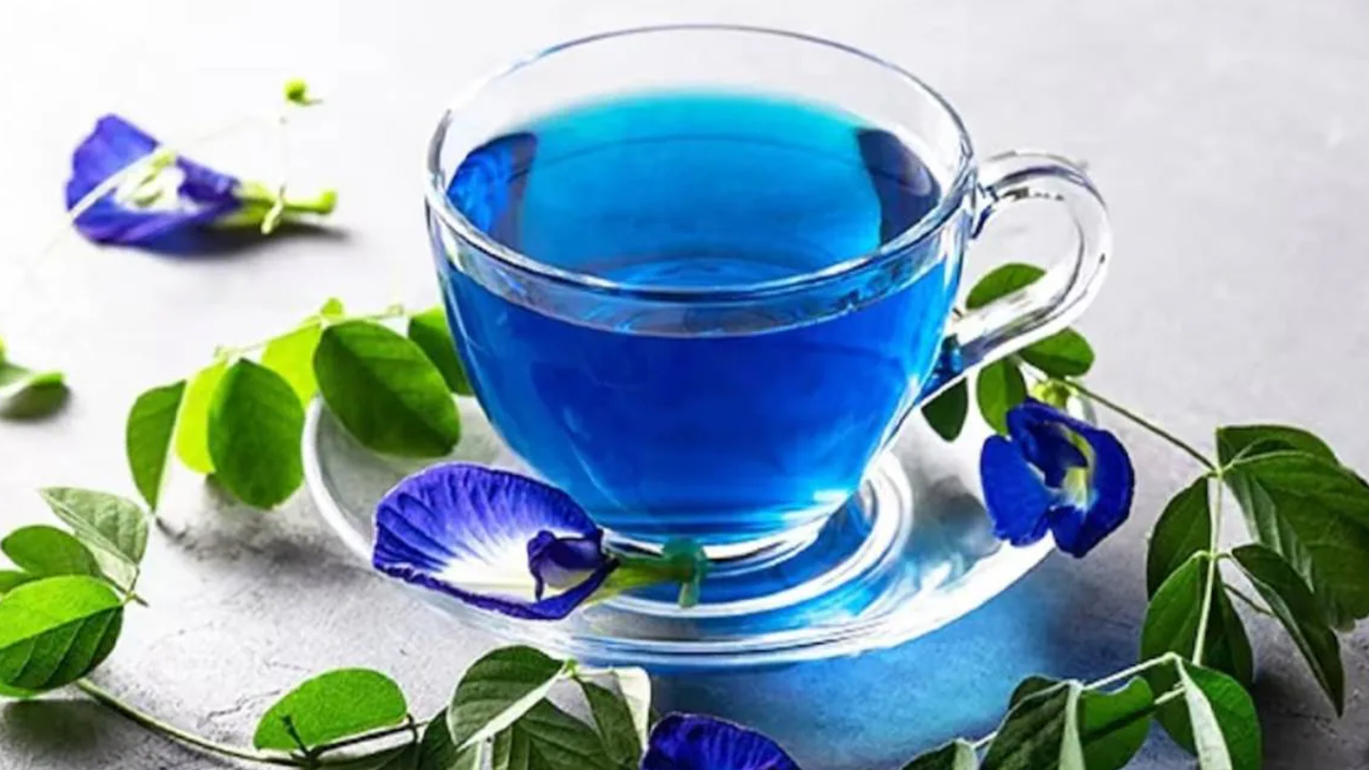 অপরাজিতা চা: স্বাস্থ্যের উপকারিতা ও প্রস্তুত প্রণালী