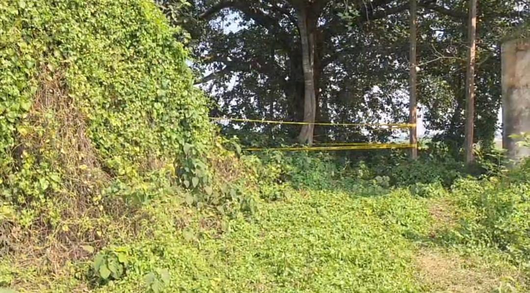 মাঠের মাঝে বোমা উদ্ধার , তুমুল চাঞ্চল্য বহরমপুরে