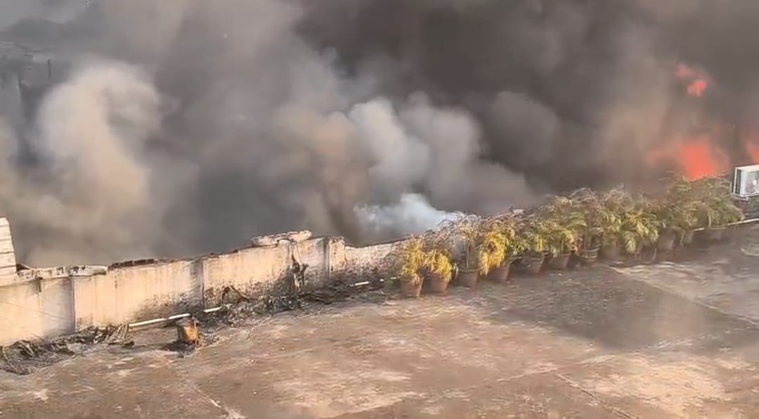 এজরা স্ট্রিটে বিধ্বংসী আগুন , দাউদাউ করে জ্বলছে বৈদ্যুতিন দোকান