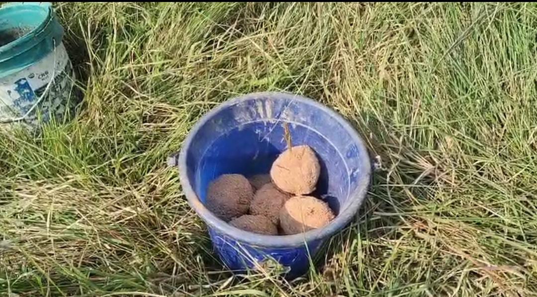 ফের বিস্ফোরক উদ্ধার মুর্শিদাবাদে , আতঙ্কিত এলাকাবাসী