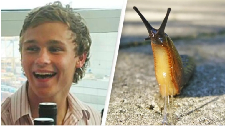 বন্ধুদের সঙ্গে বাজি ধরে খেয়ে নেন শামুক , তারপর! স্যাম ব্যালার্ডের করুণ গল্প