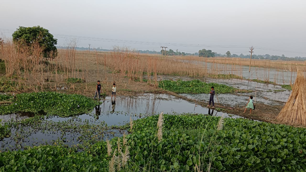 চারদিকের শান্ত ঠান্ডা পরিবেশে প্রকৃতির সরলতা ফুঁটে উঠছে , শীত পড়তেই বদলে যাচ্ছে এলাকা