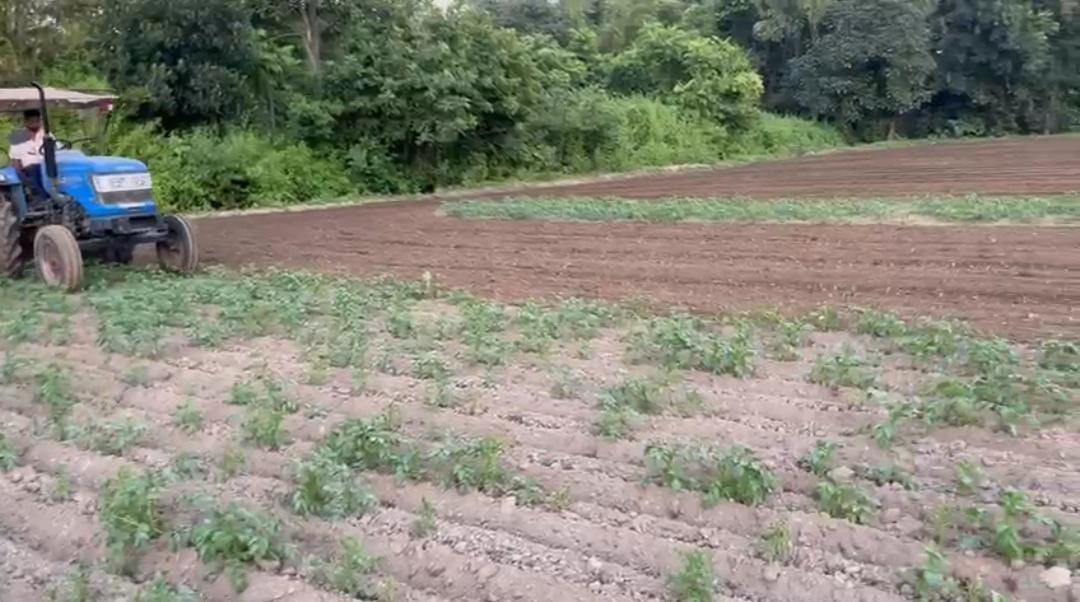 শীতের শুরুতে বিষাদের ছবি , অসহায় কৃষক সমাজ