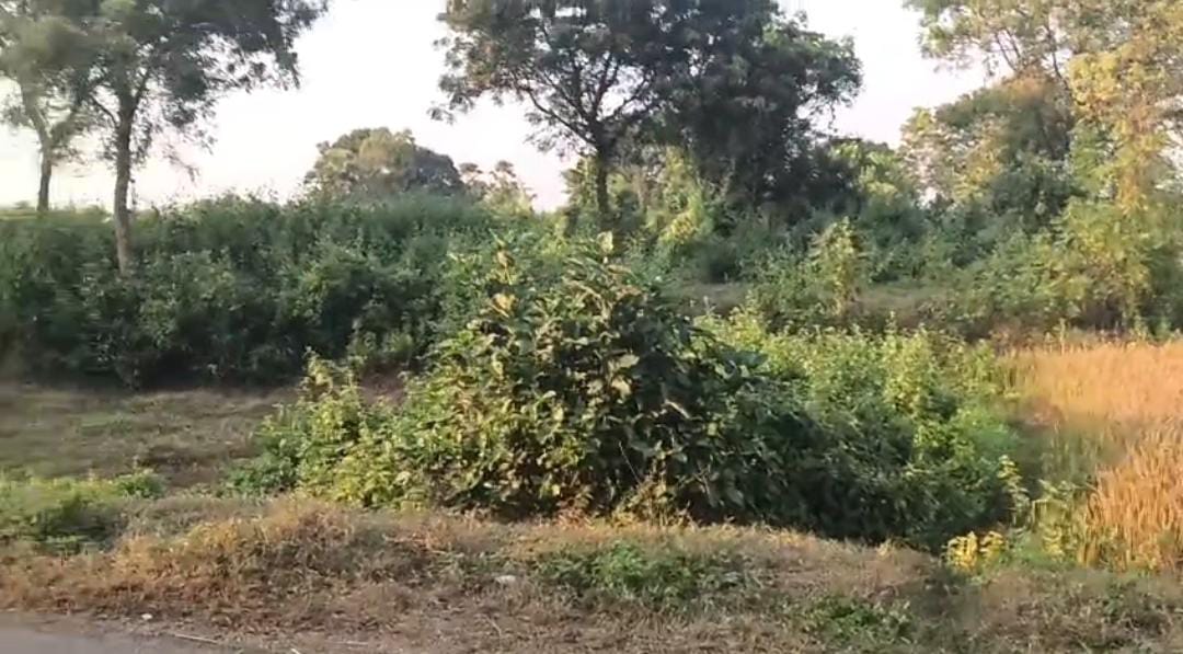 সালার থানার বিরাট সাফল্য , মুর্শিদাবাদে উদ্ধার ১৬ টি তাজা বোমা