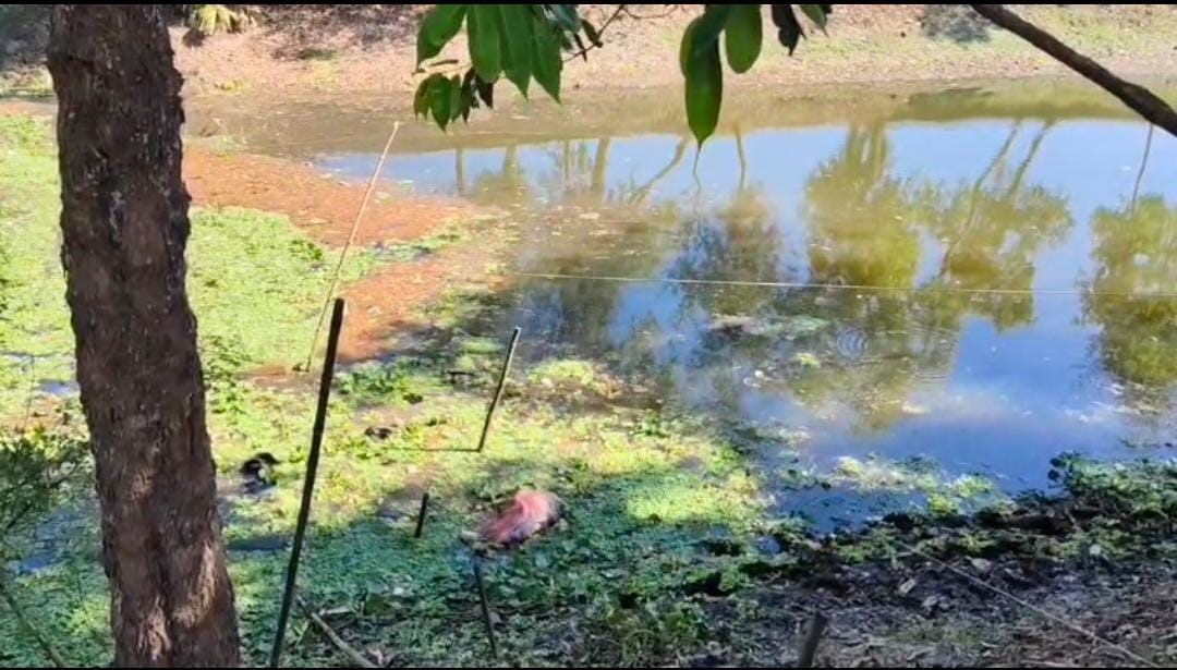 মোবাইল কিনতে বেরিয়ে নিখোঁজ যুবক , তিনদিন পরে পানা পুকুর থেকে উদ্ধার দেহ