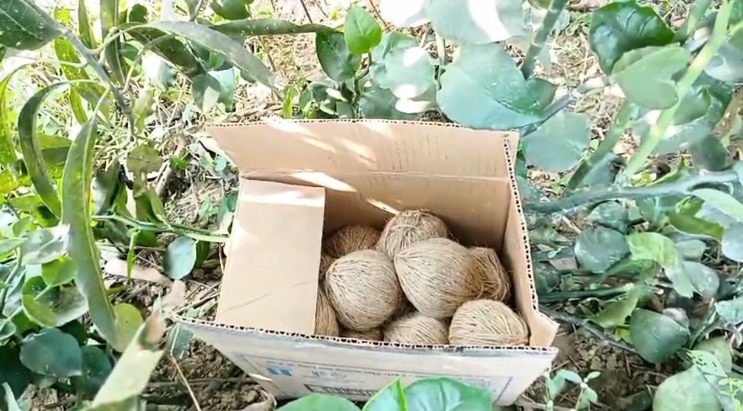 বিপুল পরিমাণে নারকেলের মত বোমা উদ্ধার, তুমুল চাঞ্চল্য ফারাক্কায়