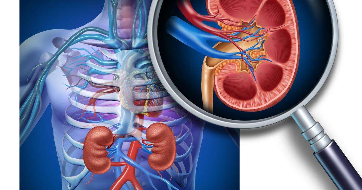 ঠাণ্ডায় বাড়ে কিডনিতে পাথরের প্রবণতা