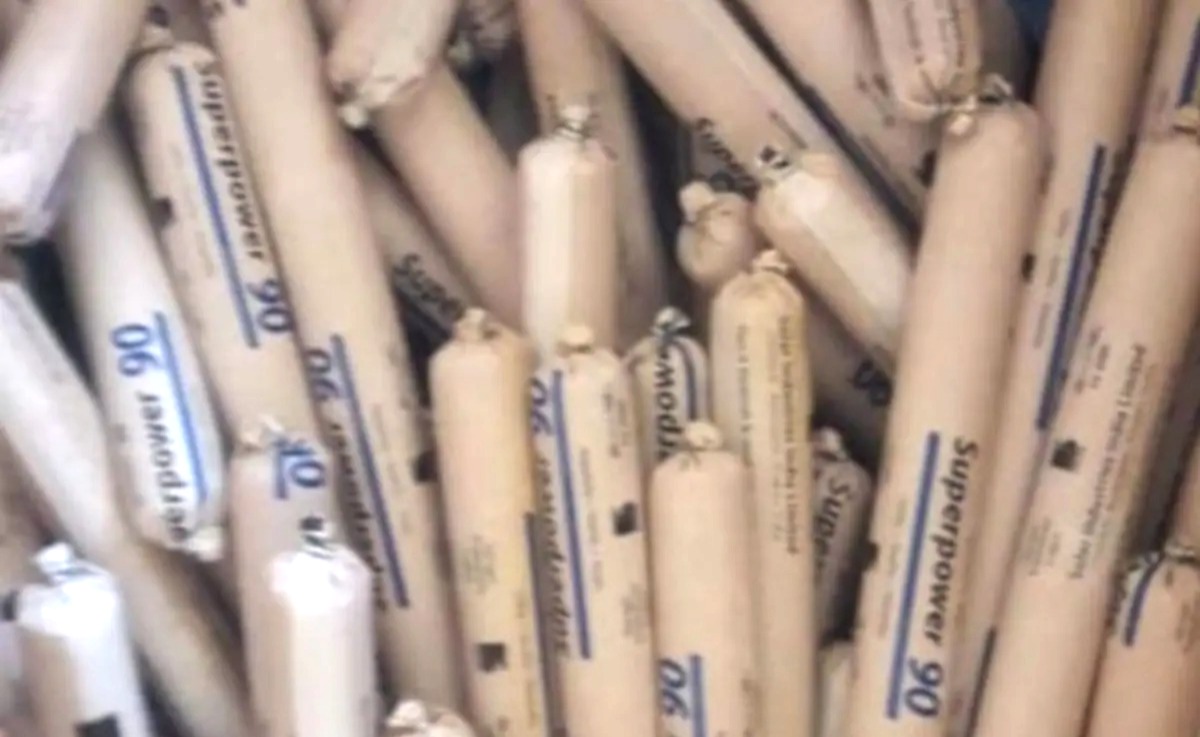 বড়সড় নাশকতার ছক! উত্তরাখণ্ডের স্কুলের সামনে থেকে উদ্ধার ১৬১ টি জিলেটিন স্টিক