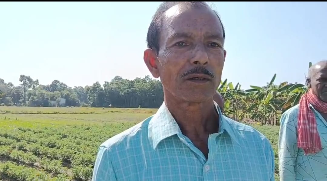 তৃণমূল করি বলে জল বন্ধ , ধানতলায় রাজনৈতিক প্রতিহিংসার শিকার ফুলচাষী