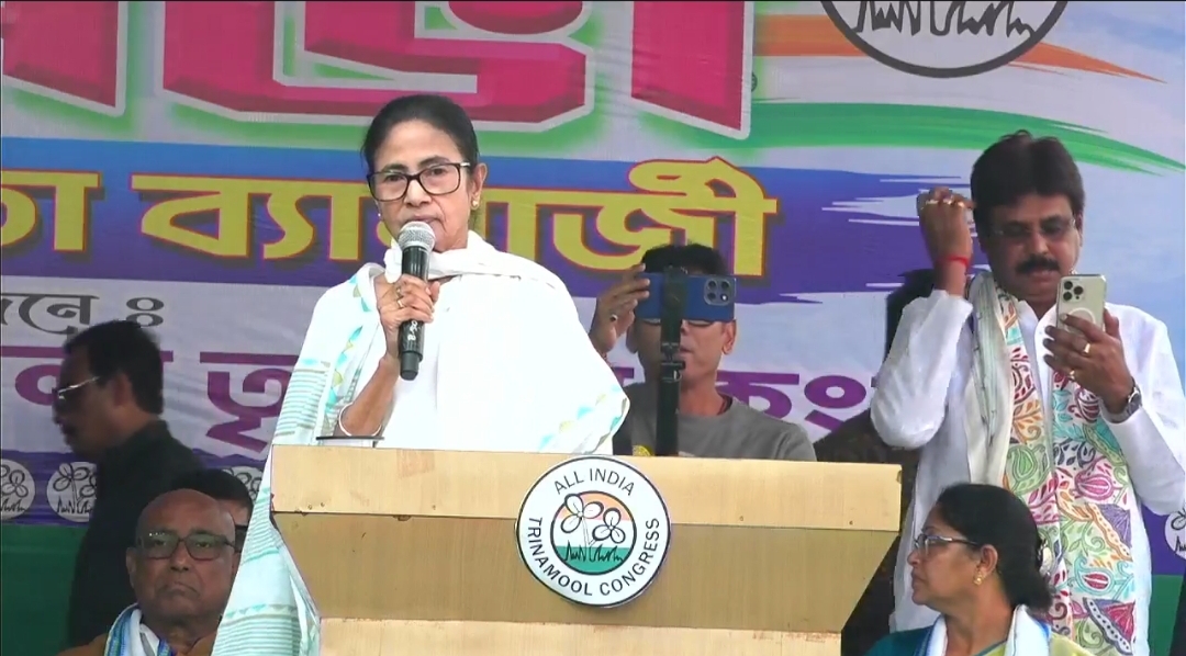 আমার সঙ্গে খেলতে গেলে ধরতেও পারবে না, ছুঁতেও না , বনগাঁর মঞ্চ থেকে বিজেপিকে তুলোধনা মুখ্যমন্ত্রীর