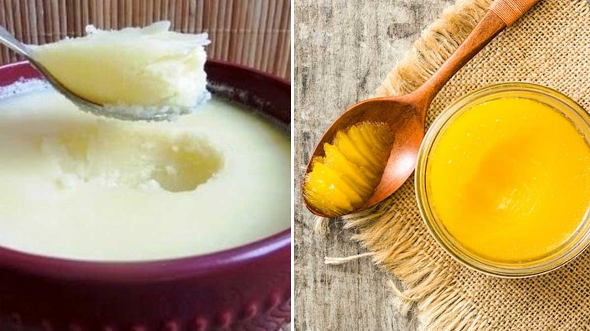 ঘি খাওয়া স্বাস্থ্যের পক্ষে ক্ষতিদায়ক না লাভদায়ক