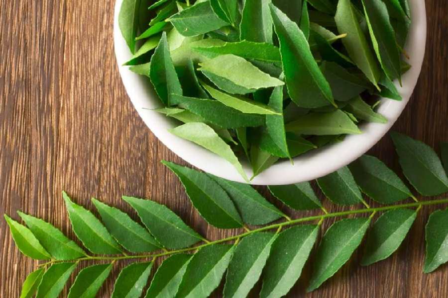 উত্তর থেকে দক্ষিণ ভারত , সর্বত্রই রান্নায় বিশেষভাবে ব্যবহার হয় কারিপাতার