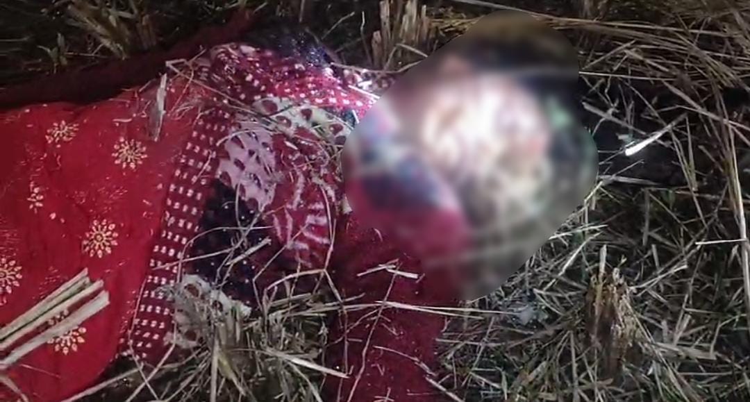 স্ত্রীকে কুপিয়ে ধানক্ষেতে ফেলে চম্পট স্বামী , ব্যাপক চাঞ্চল্য এলাকায়