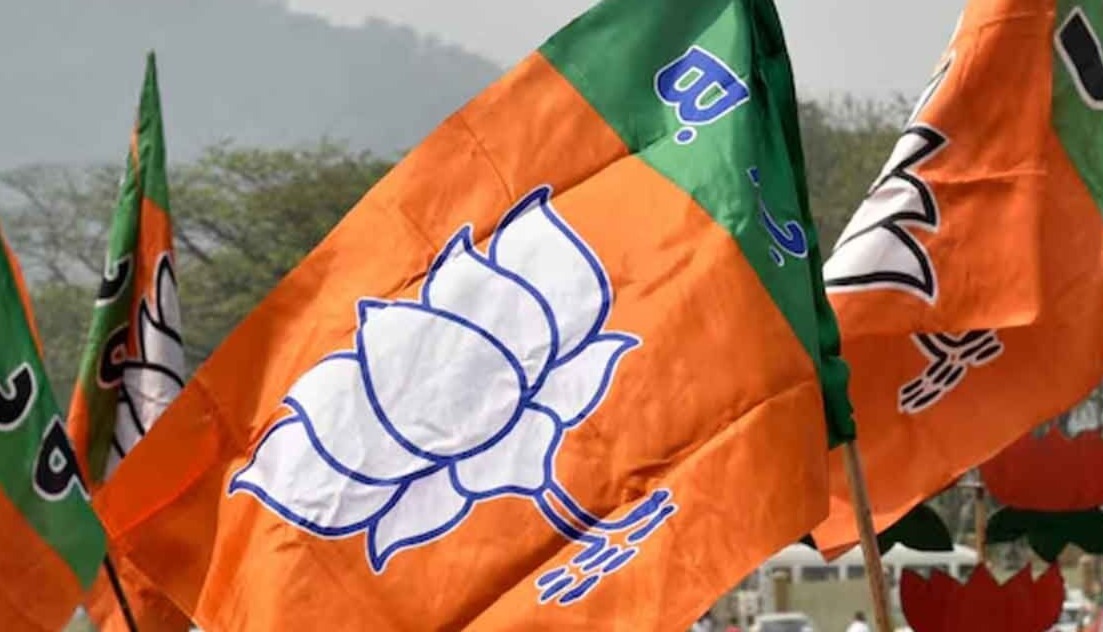 সংবিধান দিবসে সংসদে অনুপস্থিত বিজেপির একাধিক সাংসদ, শোকজের পথে পদ্ম শিবির