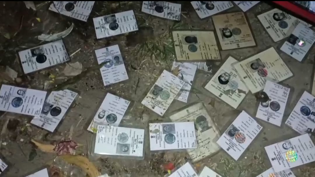 SIR আবহে নবদ্বীপে চাঞ্চল্য , আবর্জনার পাশ থেকে উদ্ধার একাধিক ভোটার কার্ড