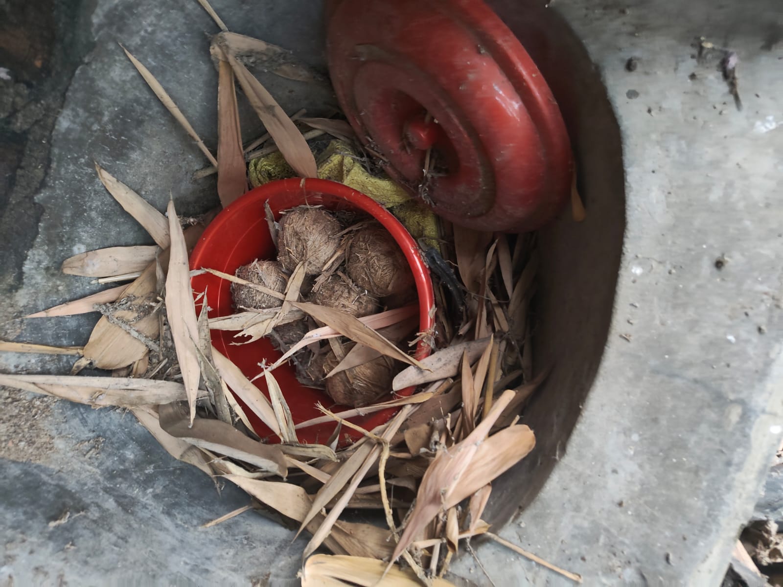 নানুর থেকে উদ্ধার ড্রাম ভর্তি বোমা নিস্ক্রিয় করলো CID-র বম্ব স্কোয়াড