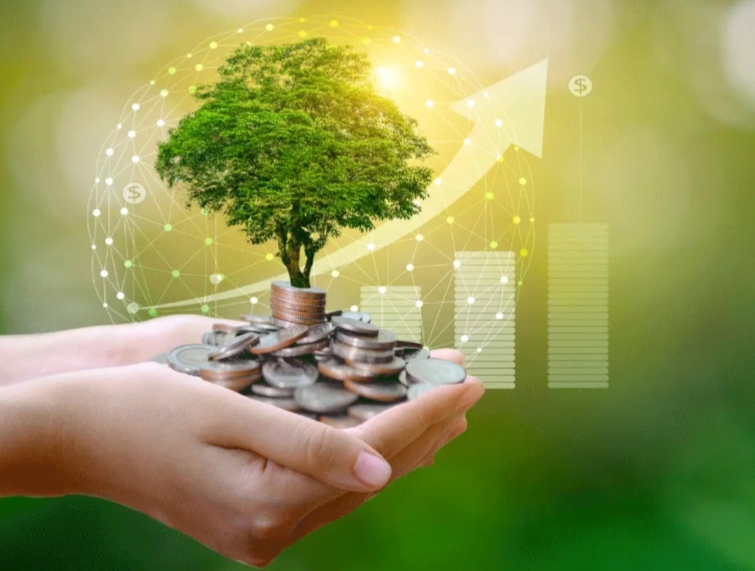 NCD ইনভেস্টমেন্ট , নিরাপদ স্থির আয়ের এক বিকল্প