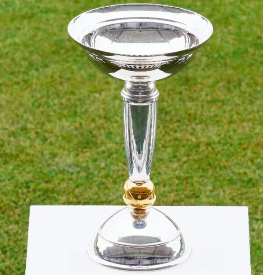 অনূর্ধ্ব ১৯ বিশ্বকাপের দল ঘোষণা ভারতের , সুযোগ দুই ভারতীয় বংশোদ্ভূত ক্রিকেটারের