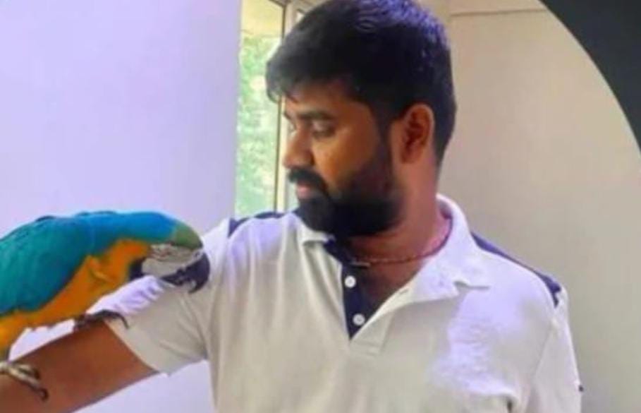 সন্তানসম ম্যাকাওকে বাঁচাতে গিয়ে চরম পরিণতি , বিদ্যুৎস্পৃষ্ট হয়ে মর্মান্তিক মৃত্যু যুবকের