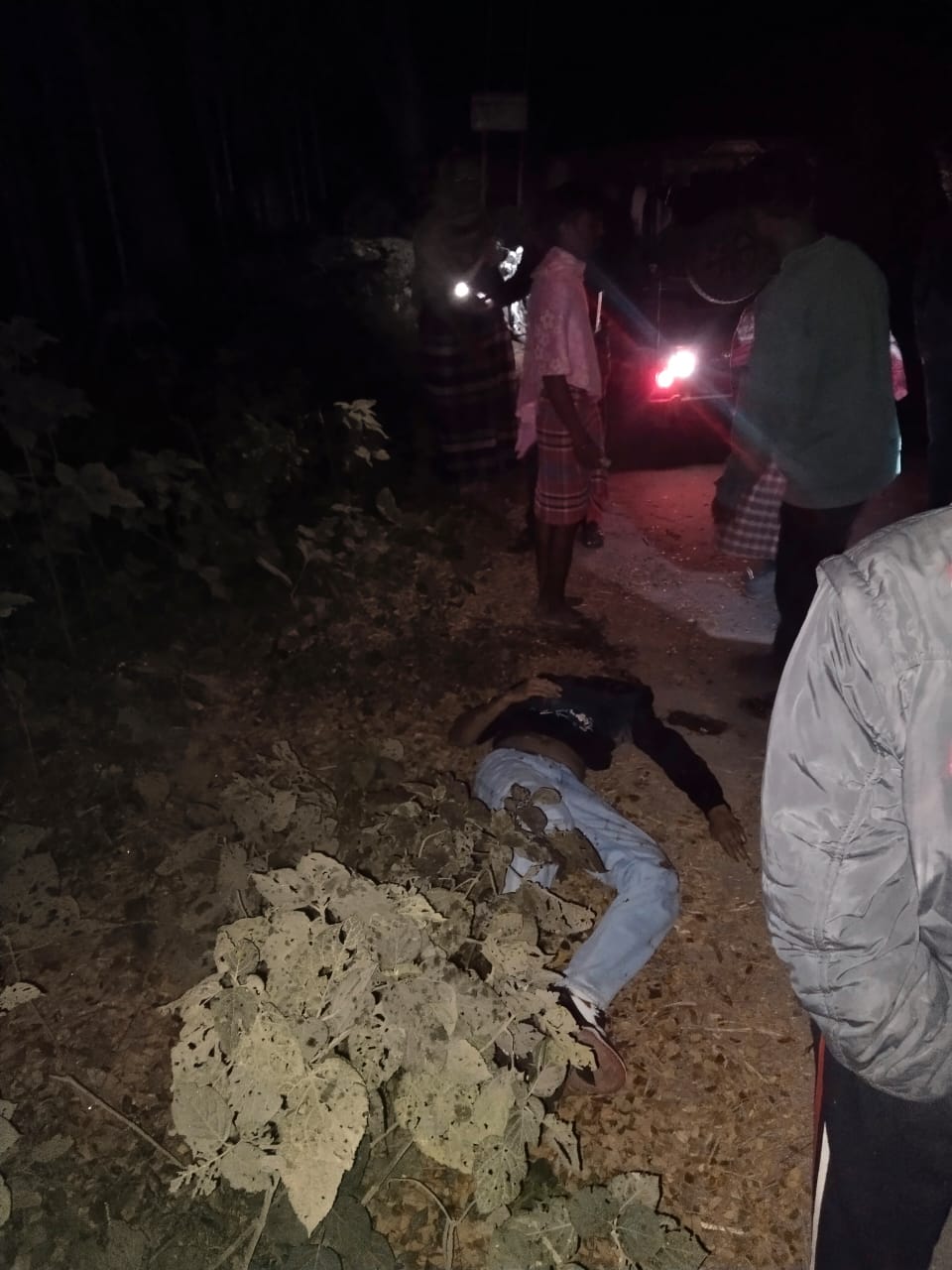 লালন মেলা থেকে ফেরার পথে মর্মান্তিক দুর্ঘটনা , মৃত্যু ২ যুবকের