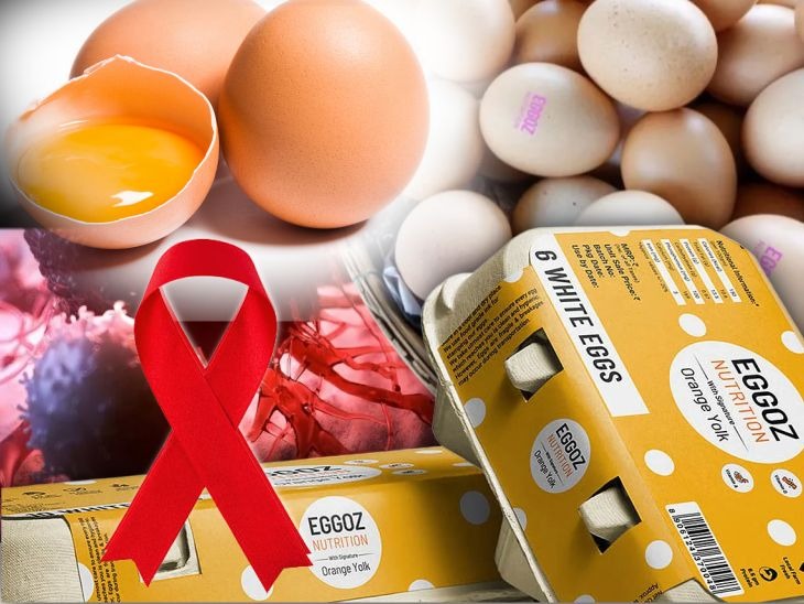 ব্র্যান্ডেড ডিম থেকে ছড়াচ্ছে ক্যান্সারের ঝুঁকি , বিভ্রান্তি সৃষ্টি সোশ্যাল মিডিয়া জুড়ে