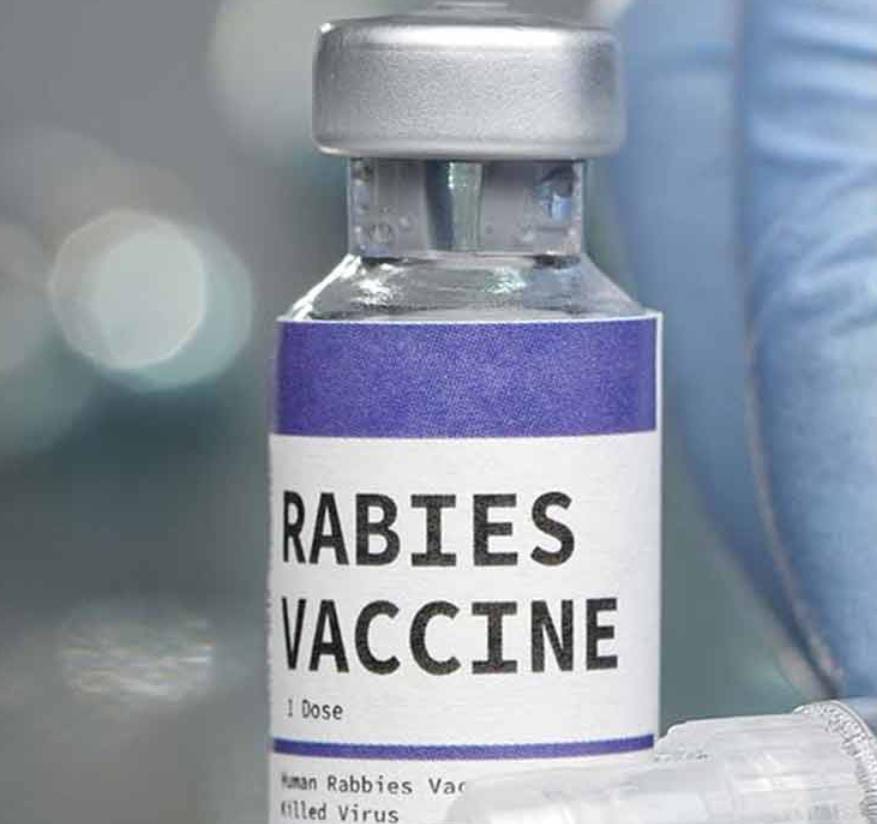 কুকুরের কামড়ে মৃত্যু মহিষের , জলাতঙ্কের টিকা নিতে ধুন্ধুমারকাণ্ড গ্রামবাসীদের , আতঙ্ক উত্তরপ্রদেশে