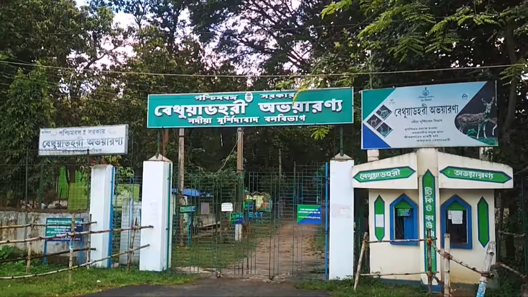 শীত বাড়তেই বাড়ছে পর্যটকদের আনাগোনা , বেথুয়াডহরি অভয়ারণ্য যেন দ্বিতীয় চিড়িয়াখানা