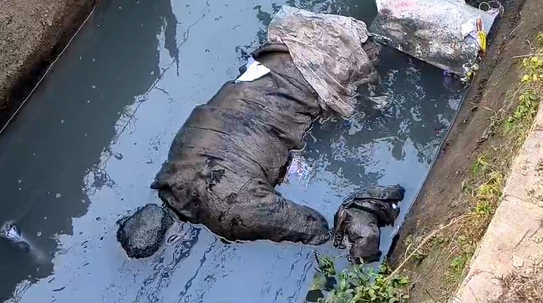 শহরে হাইড্রেন থেকে অজ্ঞাত ব্যক্তির মৃতদেহ উদ্ধার , চাঞ্চল্য এলাকায়