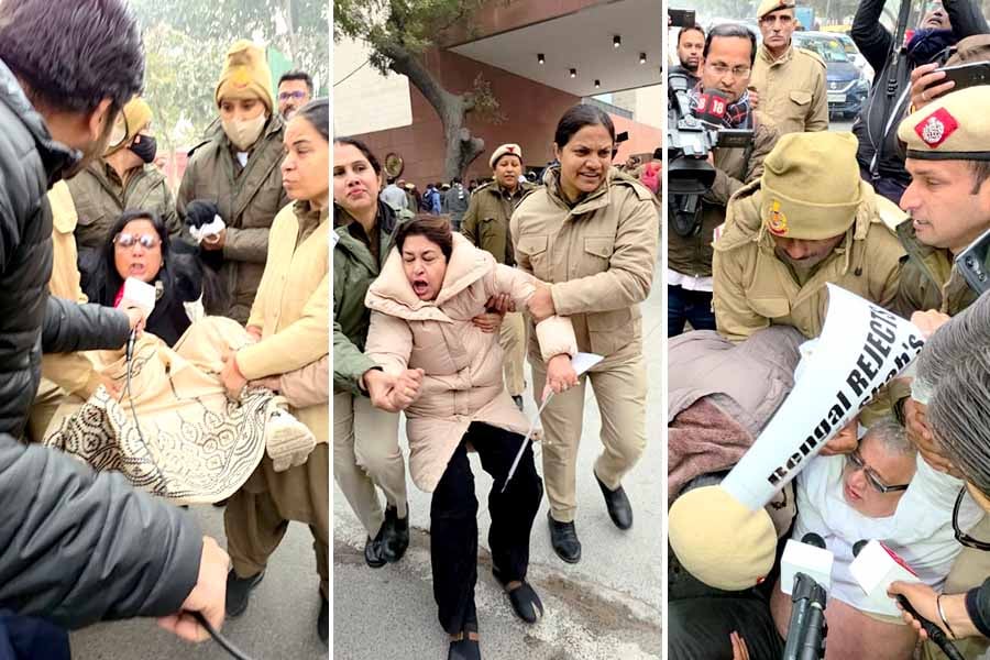 শাহের দফতরের সামনে ধরনা তৃণমূল সাংসদদের, চ্যাংদোলা করে সরালো দিল্লি পুলিশ