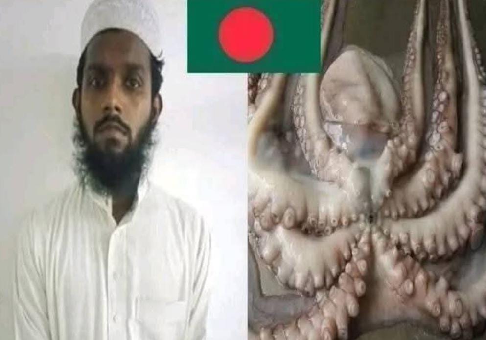 গরু ছাগলের পর অক্টোপাসের সঙ্গে যৌনসঙ্গম , পুরুষাঙ্গ খেয়ে ফেলল সামুদ্রিক প্রাণী